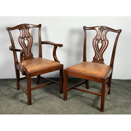 308 - 8 plus 3 CARVERS, GEORGE III STYLE DINING CHAIRS IN THE MANNER OF THOMAS CHIPPENDALE HAVING DROP IN ... 