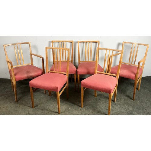 313 - TRADE ONLY, SET OF 6 (4 plus 2 carvers) VERY STYLISH LATE CENTURY CHAIRS, BELIEVED EX GORDON RUSSELL