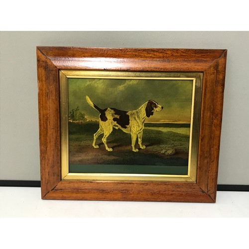 35 - PAIR OF MAPLE FRAMES, AN OIL IN AN ORNATE FRAME, AND 1 OTHER WITH DOG PRINT