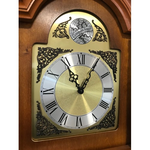 327 - TEMPUS FUGIT MODERN LONG CASE CLOCK