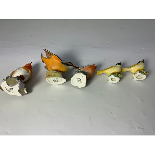 121 - ROYAL WORCESTER KINGFISHER, 2 ROBINS , 2 UNMARKED BIRDS