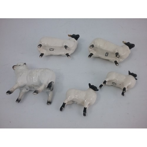 103 - FLOCK OF BESWICK SHEEP