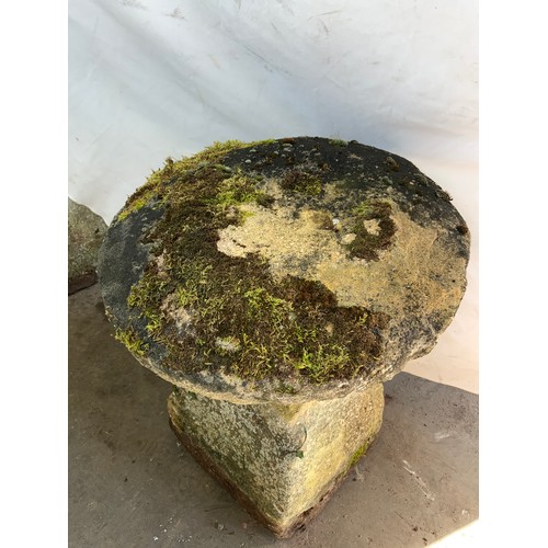 248 - STADDLE STONE WITH CIRCULAR TOP, APPROX 70 cm TALL AND 56 cm ACROSS