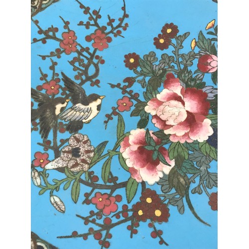 569 - CLOISONNE CHARGER DEPICTING BIRDS AND PEONY