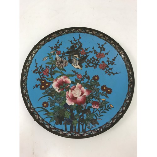 569 - CLOISONNE CHARGER DEPICTING BIRDS AND PEONY