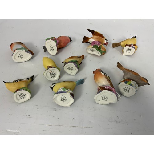 118 - ROYAL WORCESTER, 10 SINGLE GARDEN BIRDS.