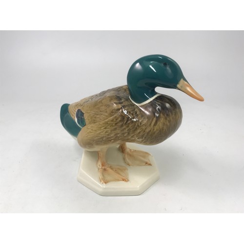 104 - LARGE BESWICK MALLARD IMPRESSED 817, STANDING APPROX. 18cm HIGH (PROCEEDS TO ST. RICHARDS HOSPICE)