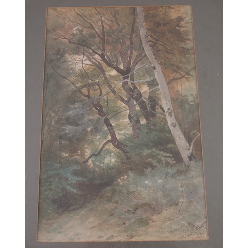 20 - 2 WATERCOLOURS 1 DEPICTING A MOORLAND SCENE THE OTHER A WOODLAND SCENE BOTH WITH INDISTINCT SIGNATUR... 