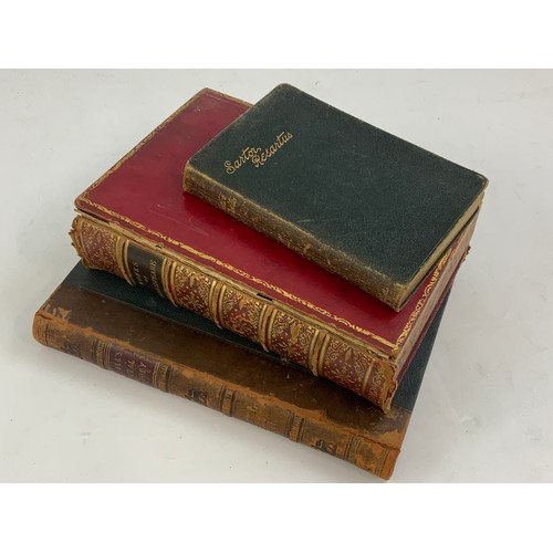 95 - HISTORICAL BOOKS, CASSELL’S NATURAL HISTORY, BIRDS, VOL III, SARTOR RESARTUS, BY THOMAS CARLYLE NISB... 