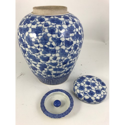 165 - BLUE AND WHITE GINGER JAR  WITH LID & COVER 29cm  TALL