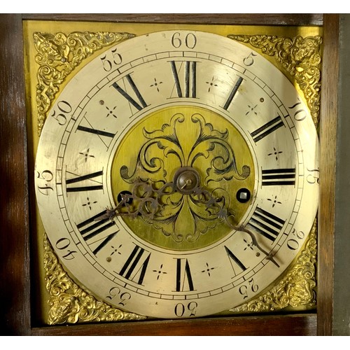 204 - OAK LONG CASE CLOCK WITH BRASS FACE AND SPANDRELS, SILVERED CHAPTER RING, EIGHT DAY MOVEMENT APPLIED... 