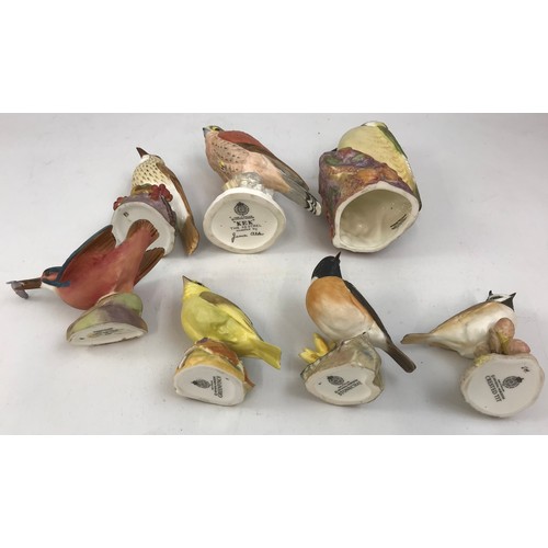 145 - 7 ROYAL WORCESTER BIRDS INC KESTREL, WOODPECKER, KINGFISHER, THRUSH, ETC