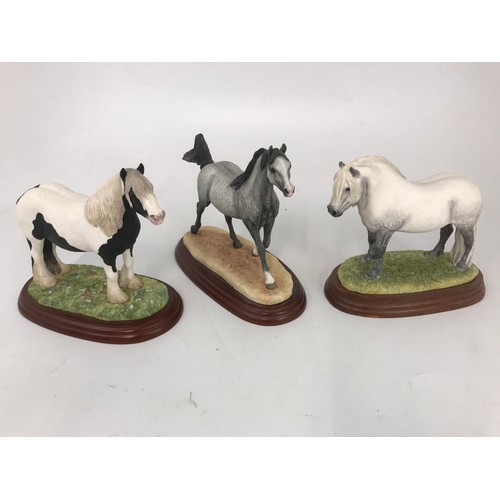 189 - 5 BORDER FINE ARTS MODELS OF STALLIONS ON WOODEN PLINTH