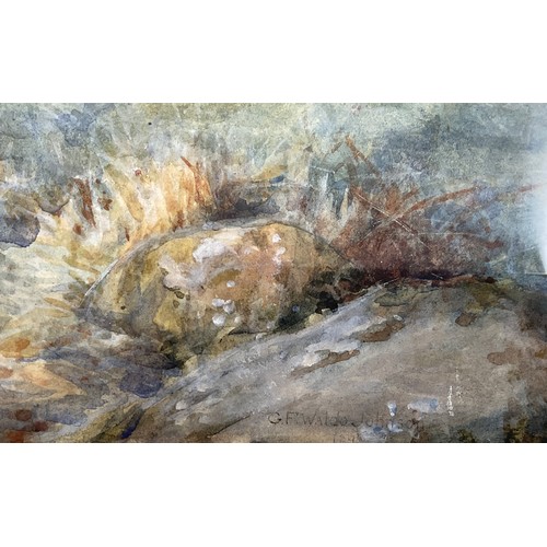 9 - G F WALDO JOHNSON, HIGHLAND CATTLE IN MOUNTAIN LANDSCAPE, WATERCOLOUR, SIGNED, 41.5CM X 69CM, FRAMED