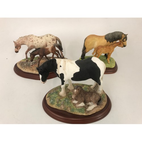 190 - 6 BORDER FINE ART MARE & FOALS MODELS ON WOODEN PLINTH