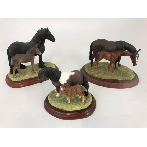 190 - 6 BORDER FINE ART MARE & FOALS MODELS ON WOODEN PLINTH