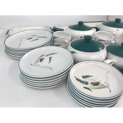 242 - LARGE QUANTITY OF DENBY GREEN WHEAT DINNER WARE