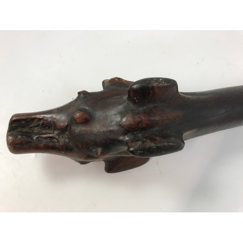 245 - A FIJIAN WAR CLUB, ROOT STOCK, THE HEAD WITH VARIOUS LOBES FORMED FROM THE BULBOUS ROOT, THE STRAIGH... 