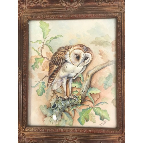 19 - D.PEPLOW (FORMER ROYAL WORCESTER PORCELAIN ARTIST) WATERCOLOUR. DEPICTING AN OWL, APPROX. 25 X 30 Nc... 