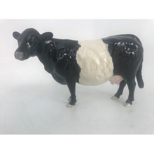 43 - BESWICK SHETLAND & BELTED GALLOWAY COWS