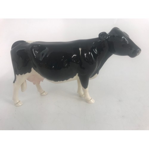 43 - BESWICK SHETLAND & BELTED GALLOWAY COWS