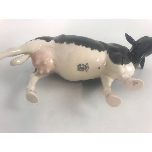 43 - BESWICK SHETLAND & BELTED GALLOWAY COWS