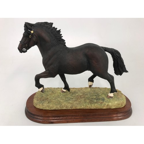 81 - BORDER FINE ARTS WELSH COB STALLION ON PLINTH MODEL NO B0240B