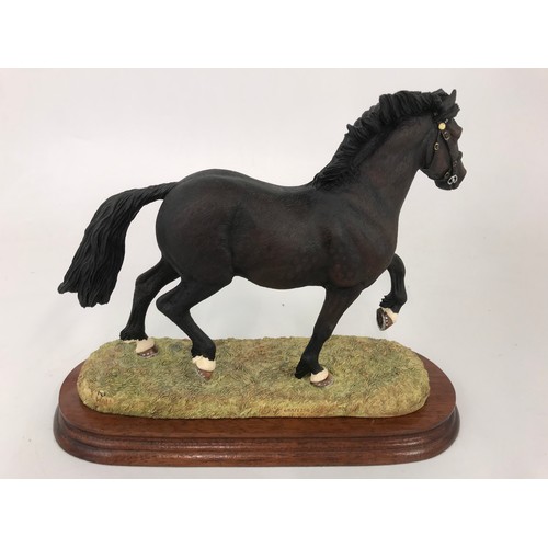 81 - BORDER FINE ARTS WELSH COB STALLION ON PLINTH MODEL NO B0240B