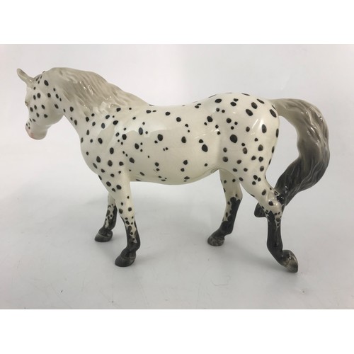 46 - RARE BESWICK  BRITISH SPOTTED APPALOOSA MODEL NO 1516