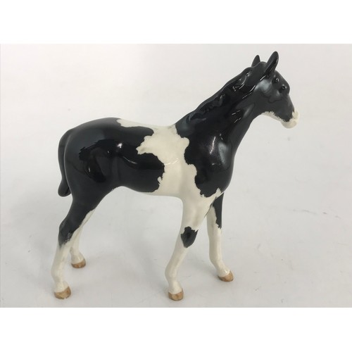 61 - VERY RARE  BESWICK PIEBALD FOAL MODEL 1813