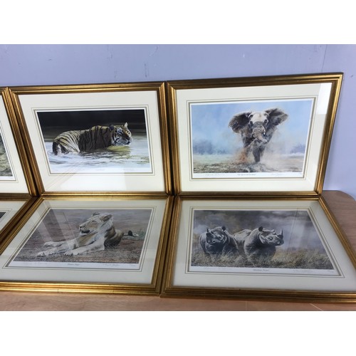 51 - 6 LIMITED EDITION WILDLIFE FRAMED PRINTS