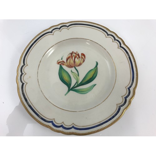 125 - CHAMBERLAINS PLATE WITH HAND PAINTED FLORAL DECORATION, GRAINGERS DITTO