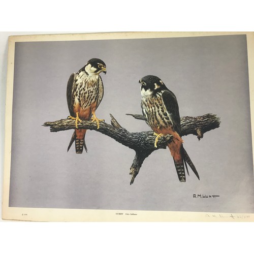 17 - ALLAN HUNT WATERCOLOUR DEPICTING BIRDS AND A PRINT