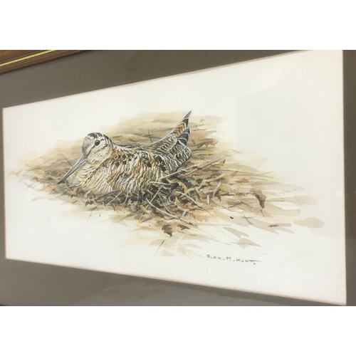 16 - ALLAN HUNT WATERCOLOUR DEPICTING BIRD, POSSIBLY A PLOVER?