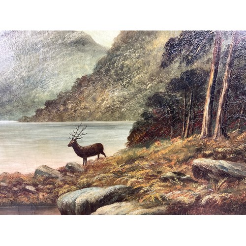 41 - OIL ON CANVAS DEPICTING STAG IN HIGHLAND SCENE / FRAME IS APPROX 94CM