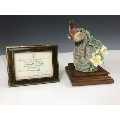 133 - ROYAL WORCESTER COCK WREN & BURNET  ROSE DOROTHY DOUGHTY LIMITED  Ed COA BOX AF