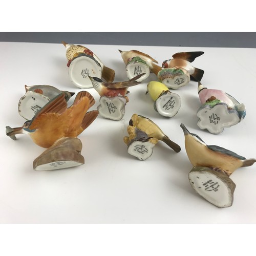 127 - 10 ROYAL WORCESTER BIRD MODELS