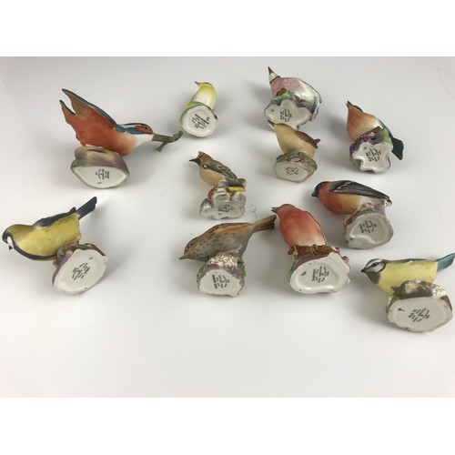 128 - 11 ROYAL WORCESTER BIRD MODELS