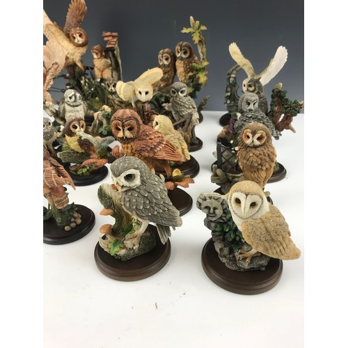 136 - LARGE QUANTITY OF CONTRY ARTIST OWL MODELS TALLEST  27cm