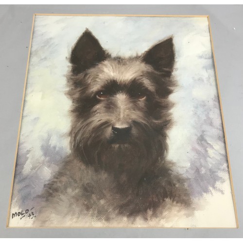 46 - WATERCOLOUR DEPICTING A HIGHLAND TERRIER SIGNED MOLD DATED 43