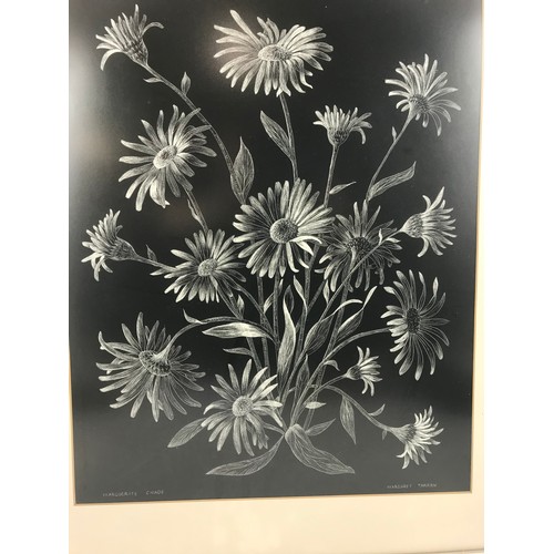 48 - MARGARET TARRAN WATERCOLOUR DEPICTING FLOWERS ENTITLES “ MARGUERITE CHAOS”