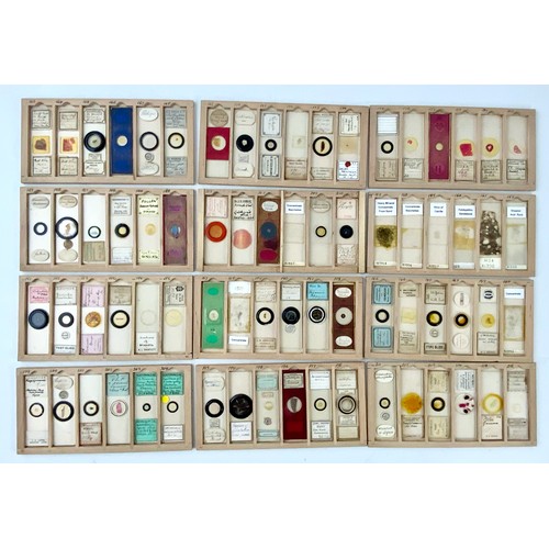 268 - QTY. GLASS MICROSCOPE SLIDES IN A W.WATSON & SONS, BIRMINGHAM FITTED BOX