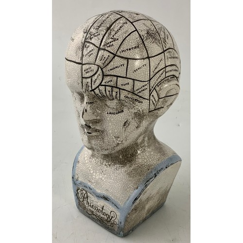 54 - A BOXED PHRENOLOGY HEAD