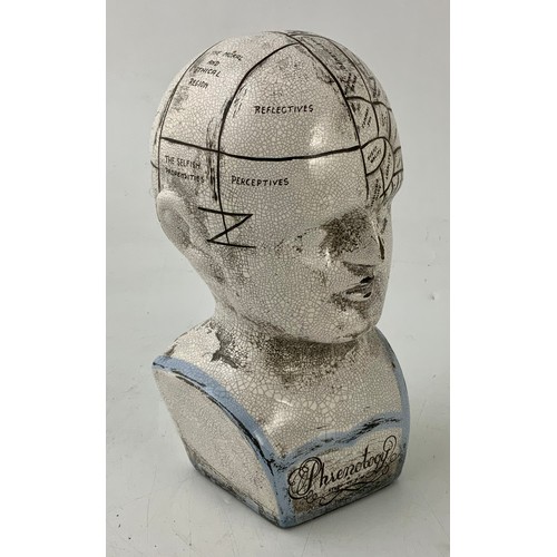 54 - A BOXED PHRENOLOGY HEAD