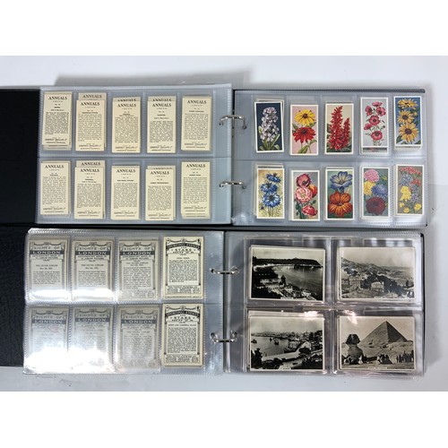 291 - 2 ALBUMS OF CIGARETTE CARDS IN SLIP CASES. ONE ALBUM WITH CARDS FROM A RANGE OF MANUFACTURERS, INC. ... 