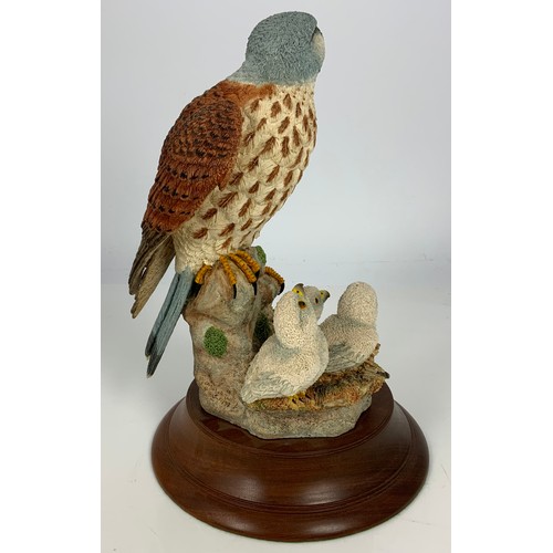 159 - LARGE RESIN STUDY OF A KESTREL AND CHICKS