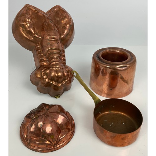 253 - TWO COPPERS MOULDS INCLUDING LOBSTER AND A SMALL COPPER AND BRASS PAN