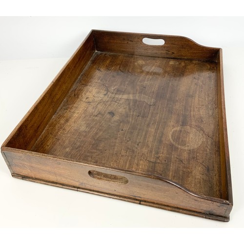 301 - OAK TRAY