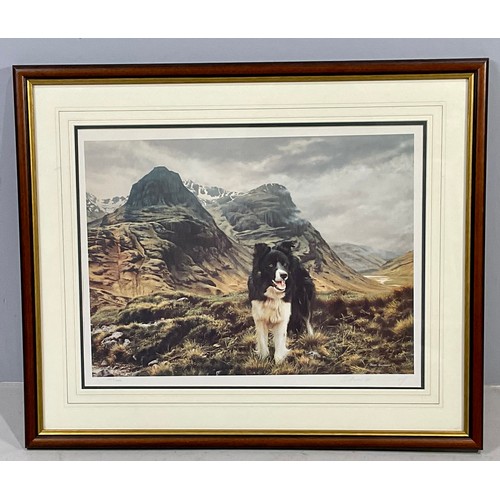 41 - STEVEN TOWNSEND LIMITED EDITION PRINT DEPICTING A COLLIE IN A MOUNTAIN SCENE 347/ 660, SIGNED IN PEN... 