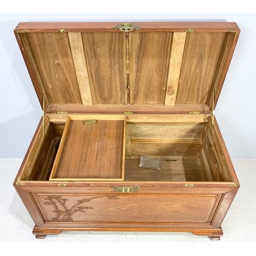 494 - CAMPHOR WOOD CHEST, APPROX. 103 cm wide